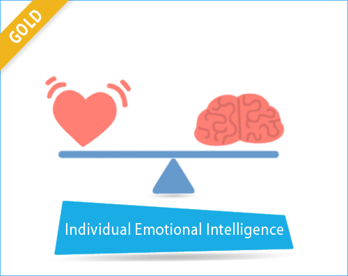 PRISM Individual Emotional Intelligene - Gold