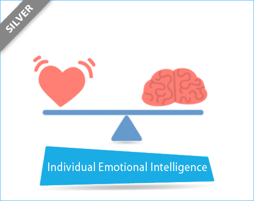 PRISM Individual Emotional Intelligene - Silver