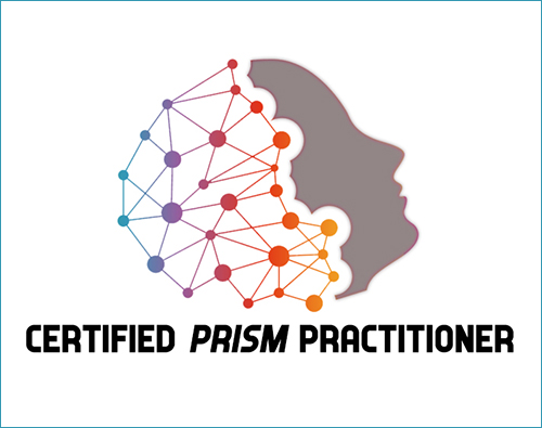 Prism Brain Map Individual Career Development Planning Tool Gold