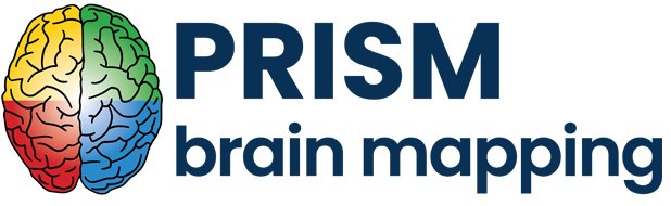 The Prism Brain Map Logo