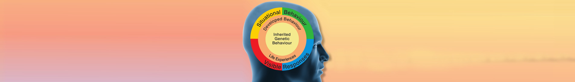Behavioral Characteristics Tool in India: Understand Yourself with PRISM Brain Mapping Behavioral Characteristics Tool in India: Understand Yourself with PRISM Brain Mapping