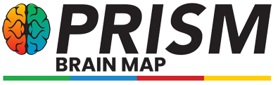 The Prism Brain Map Logo
