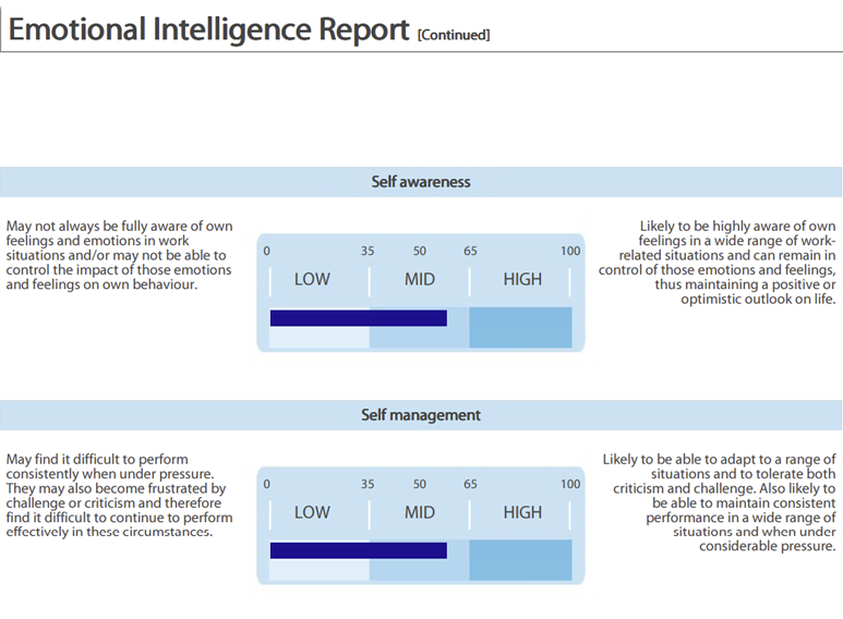 Emotional Intelligence Sample Report